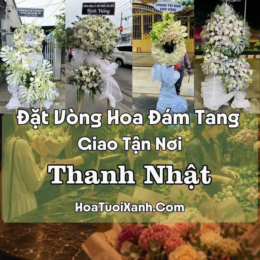 Hoa Đám Tang Thanh Nhật (Xã Hạ Lang, Cao Bằng mới)