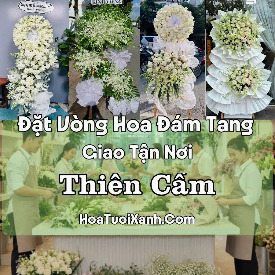 Hoa Đám Tang Thiên Cầm (Xã Thiên Cầm, Hà Tĩnh mới)