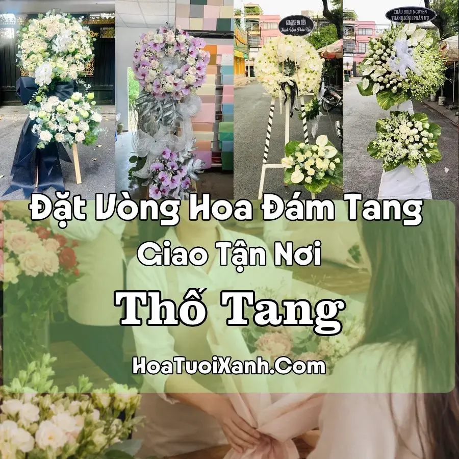 Hoa Đám Tang Thổ Tang (Xã Thổ Tang, Phú Thọ mới)