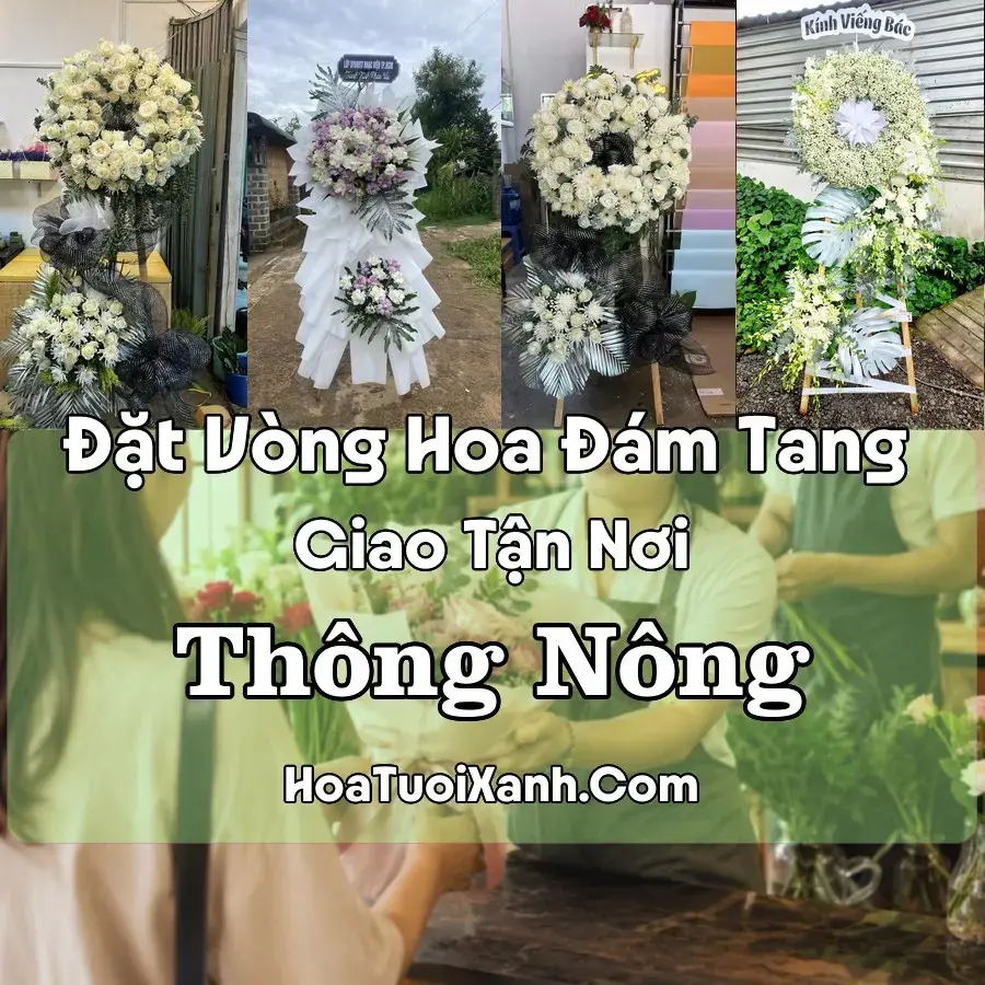 Hoa đám tang Thông Nông