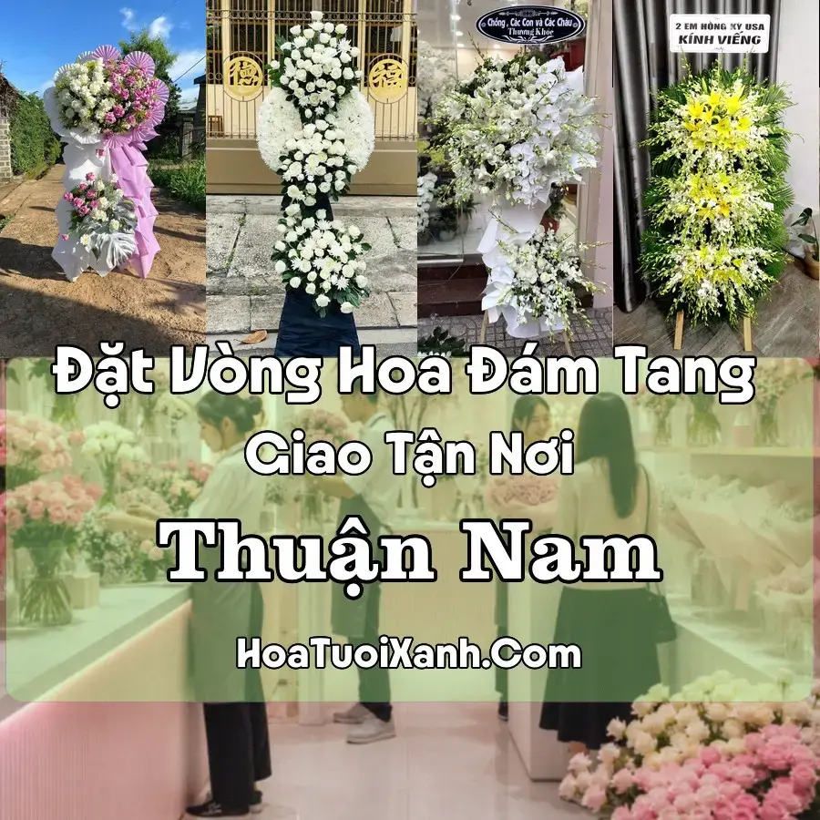 Hoa Đám Tang Thuận Nam (Xã Hàm Thuận Nam, Lâm Đồng mới)