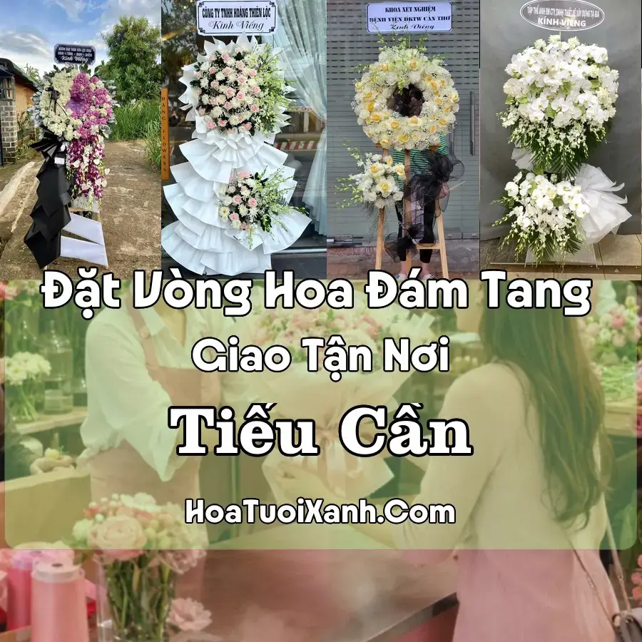 Hoa đám tang Tiểu Cần