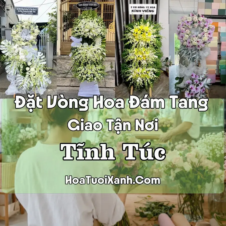 Hoa Đám Tang Tĩnh Túc (Xã Tĩnh Túc, Cao Bằng mới)