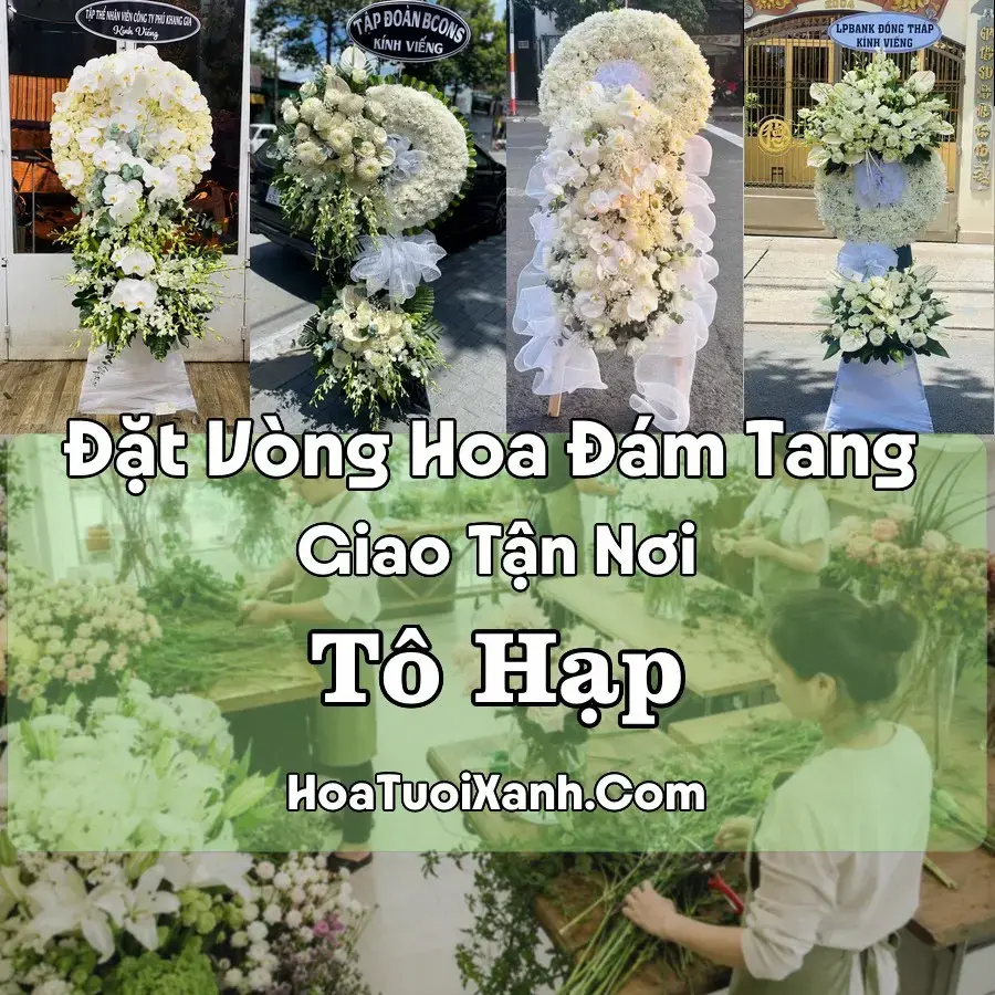 Hoa Đám Tang Tô Hạp (Xã Khánh Sơn, Khánh Hòa mới)