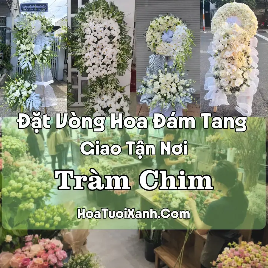 Hoa đám tang Tràm Chim