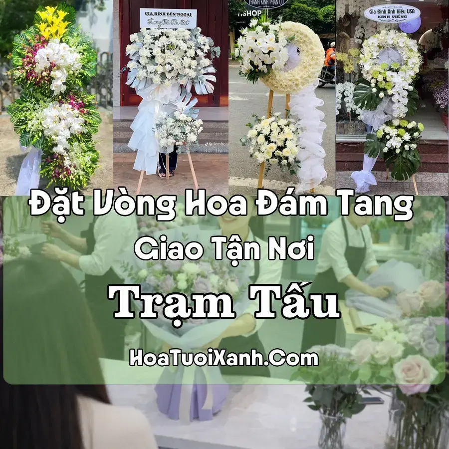 Hoa Đám Tang Trạm Tấu (Xã Hạnh Phúc, Trạm Tấu, Lào Cai mới)
