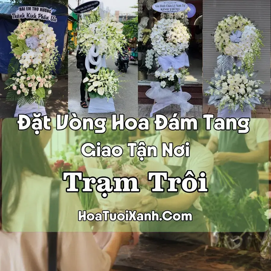 Hoa đám tang Trạm Trôi