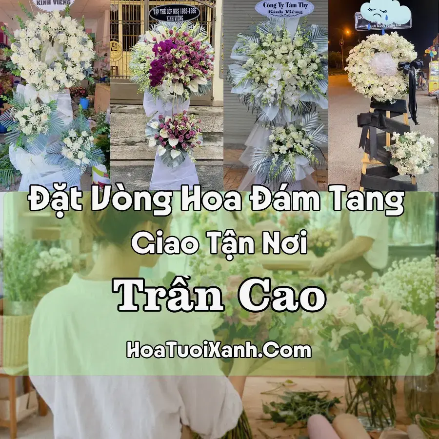 Hoa đám tang Trần Cao