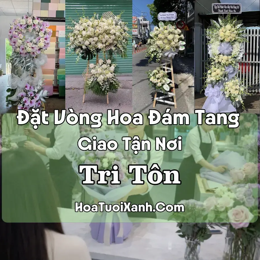 Hoa đám tang Tri Tôn