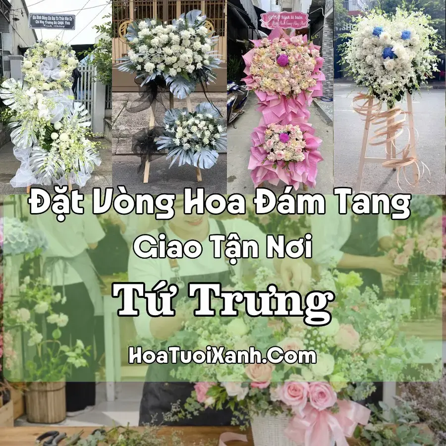 Hoa đám tang Tứ Trưng