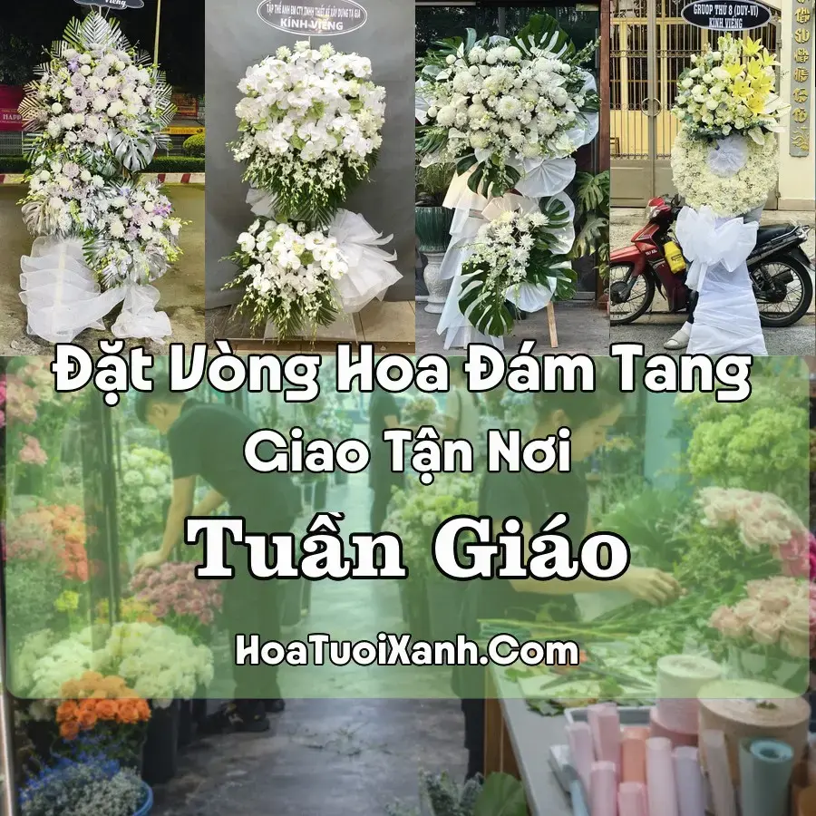 Hoa đám tang Tuần Giáo