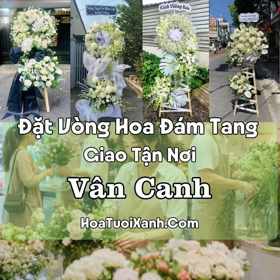 Hoa Đám Tang Vân Canh (Xã Vân Canh, Gia Lai mới)