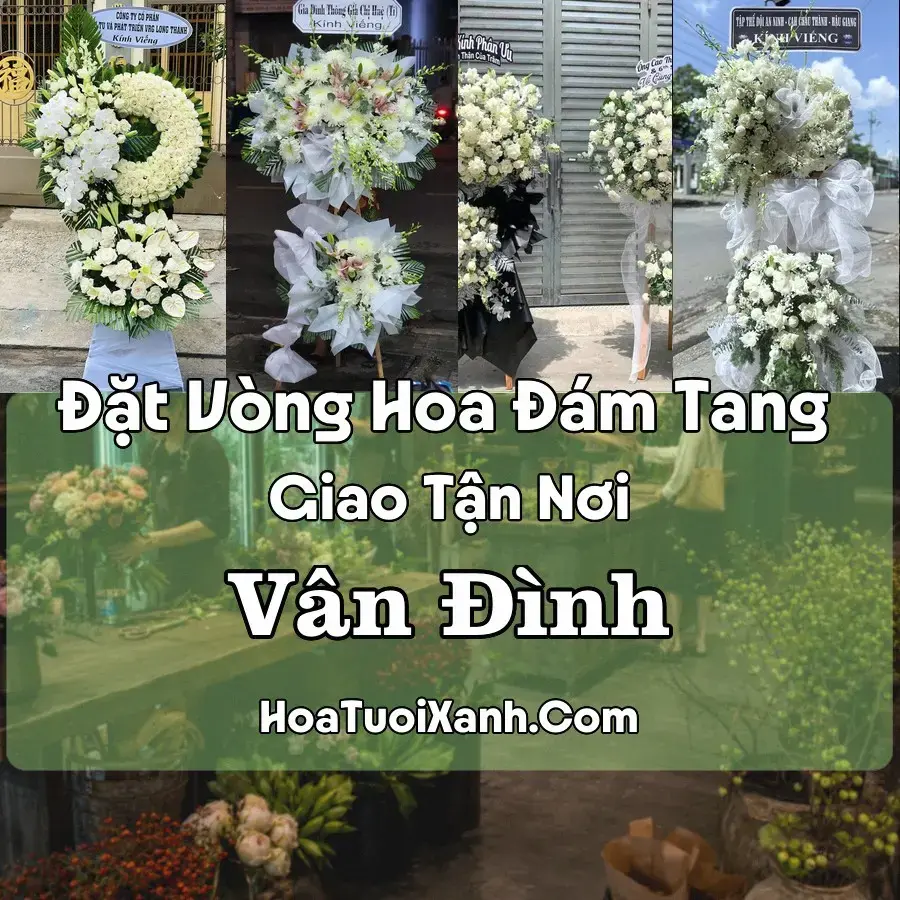 Hoa Đám Tang Vân Đình (Xã Vân Đình, Hà Nội mới)