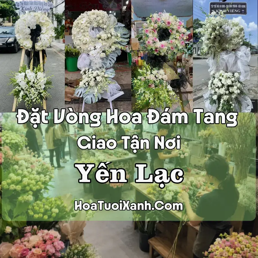 Hoa Đám Tang Yến Lạc (Xã Na Rì, Thái Nguyên mới)