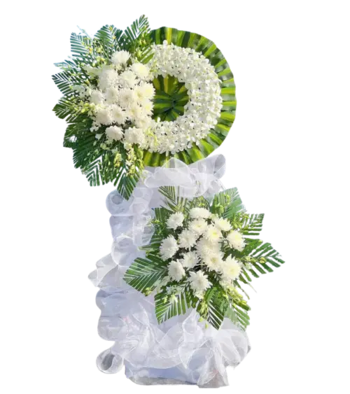 Kệ hoa chia buồn cúc trắng vòng tròn nơ voan trắng