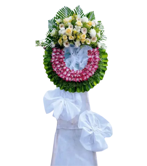 Vòng hoa chia buồn lan hồng phối hồng kem và cúc đồng tiền trắng